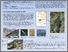 [thumbnail of INVE_MEM_2011_105967.pdf]