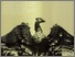 [thumbnail of resurgam.pdf]