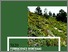 [thumbnail of CRUZ_CL_2009_02A.pdf]