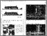 [thumbnail of Nueva_Forma_Albergue.pdf]