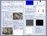[thumbnail of detection-of-peanut-traces-in-wheat-flour-through-nir-hyperspectral-imaging-spectroscopy.pdf]