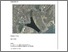 [thumbnail of MIGUEL_ANGEL_AJURIAGUERRA_ESCUDERO_Anexo_2.pdf]