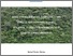 [thumbnail of RAFAEL_VICUNA_MERINO.pdf]