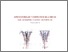 [thumbnail of CARMEN_PEREZ_DE_LOS_RIOS_01.pdf]