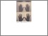 [thumbnail of CARMEN_BOLIVAR_MONTESA.pdf]