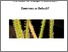 [thumbnail of INVE_MEM_2015_193621.pdf]