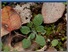 [thumbnail of NURIA_MONTES_CASADO_01.pdf]