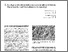 [thumbnail of 1999_estrategia_M.pdf]