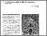 [thumbnail of 1999_ladrillos_JAA.pdf]