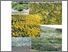 [thumbnail of INVE_MEM_2008_58247.pdf]