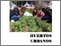 [thumbnail of Huertos urbanos.pdf]