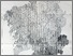 [thumbnail of ELISA_GALLEGO_PICARD_02_ANEXO_DIGITAL_4.pdf]